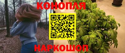 spice Коммунар
