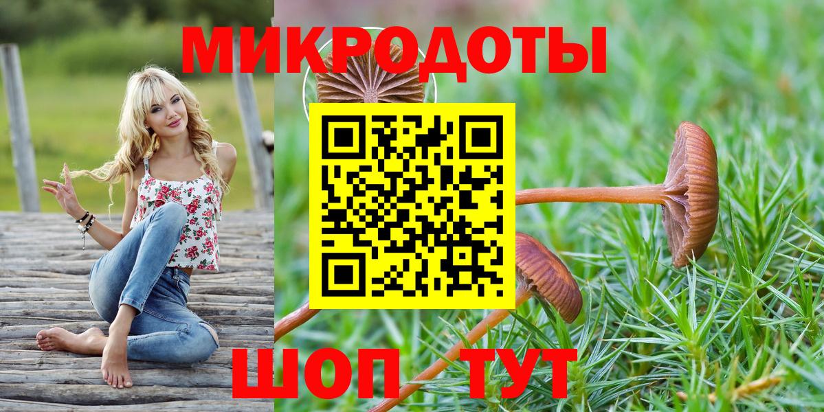 Клин  Псилоцибиновые грибы MAGIC MUSHROOMS  Галлюциногенные грибы прущие грибы  Вход с VPN 