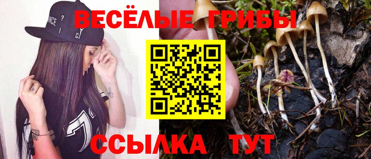 Псилоцибиновые грибы прущие грибы Клин
